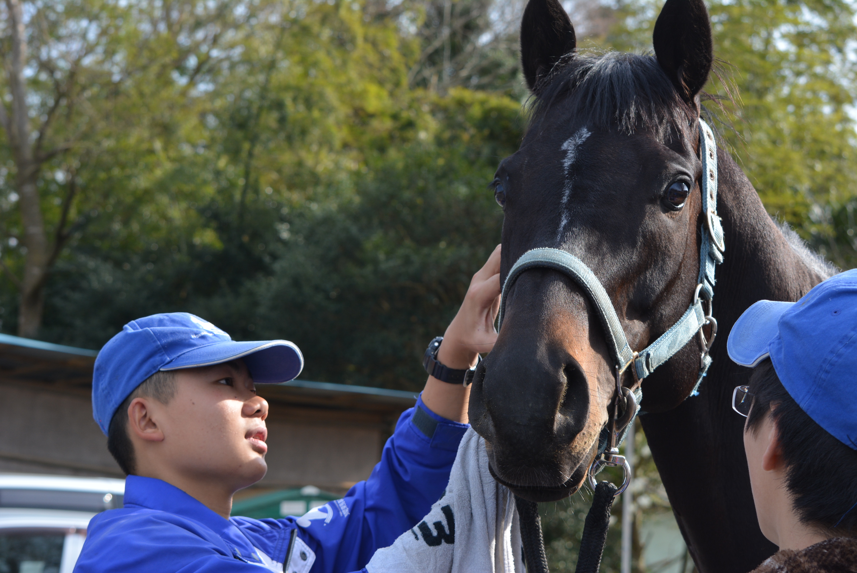 実践中心の「馬が真ん中」の教育