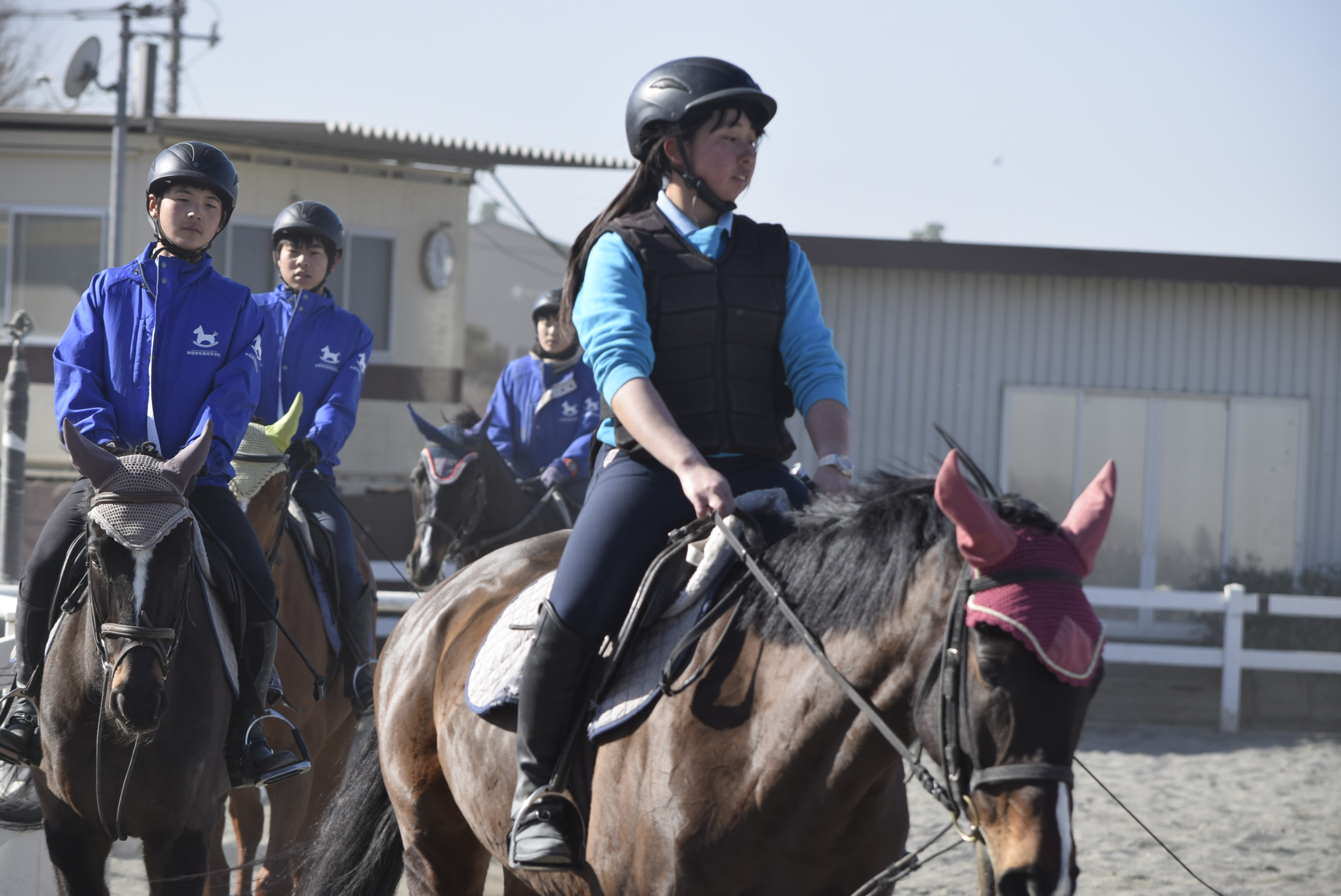 未経験から、馬に乗れる自分へ