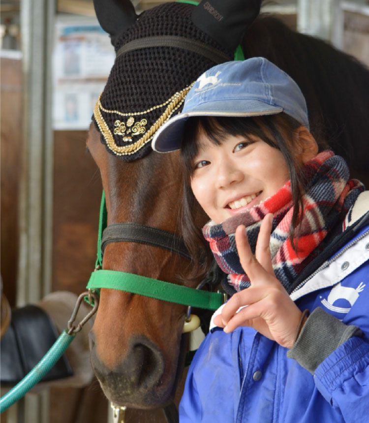 引退競走馬のリトレーニングに取り組む生徒