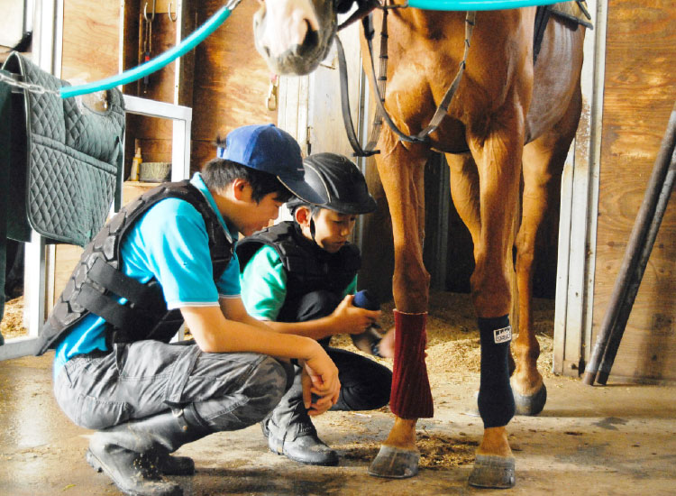 オープンキャンパスで馬と対面する参加者