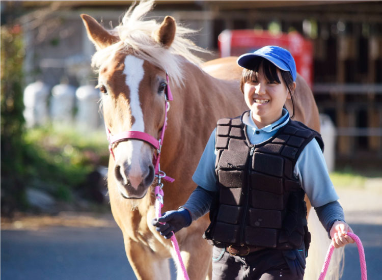 緑豊かなキャンパスで馬と過ごす生徒たち